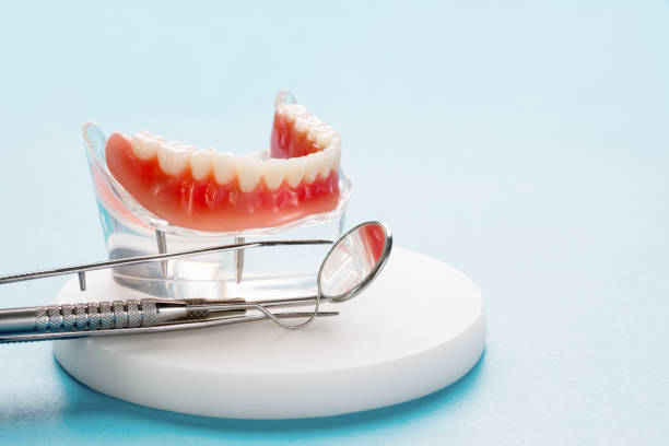 Best Veneers and Lumineers  in Mayo, MD